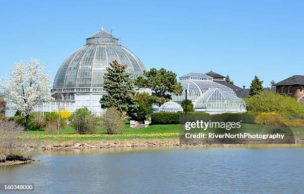 belle isle conservatory building against a blue sky - belle isle michigan stock pictures, royalty-free photos & images