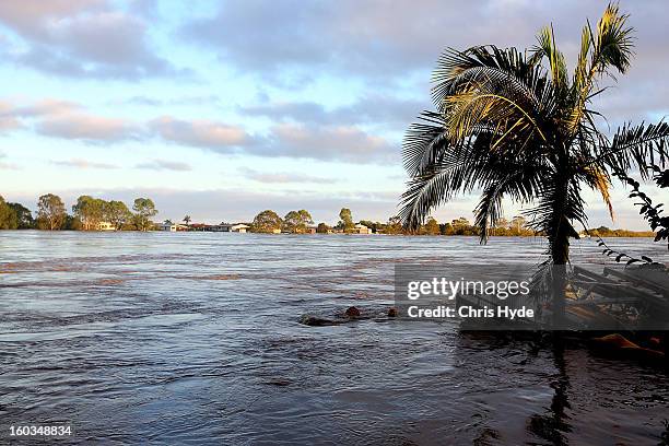 The sun rises over flooded the Burnett river as parts of southern Queensland experiences record flooding in the wake of Tropical Cyclone Oswald on...