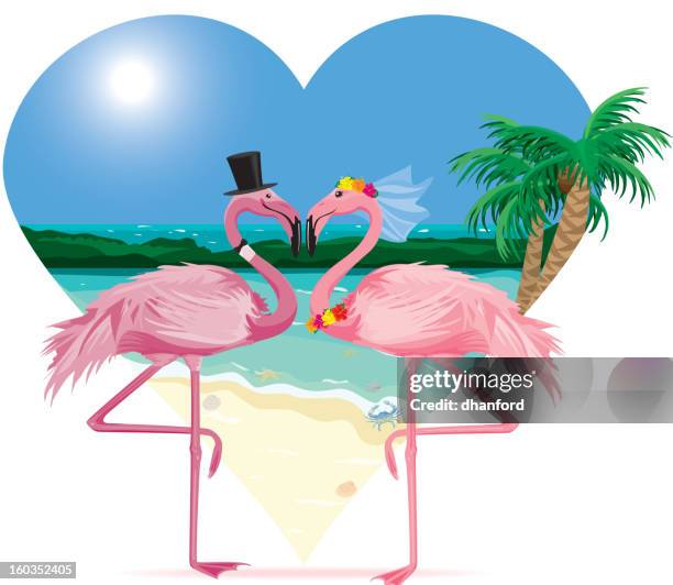 flamingos in love at the beach - flamingo heart stock illustrations