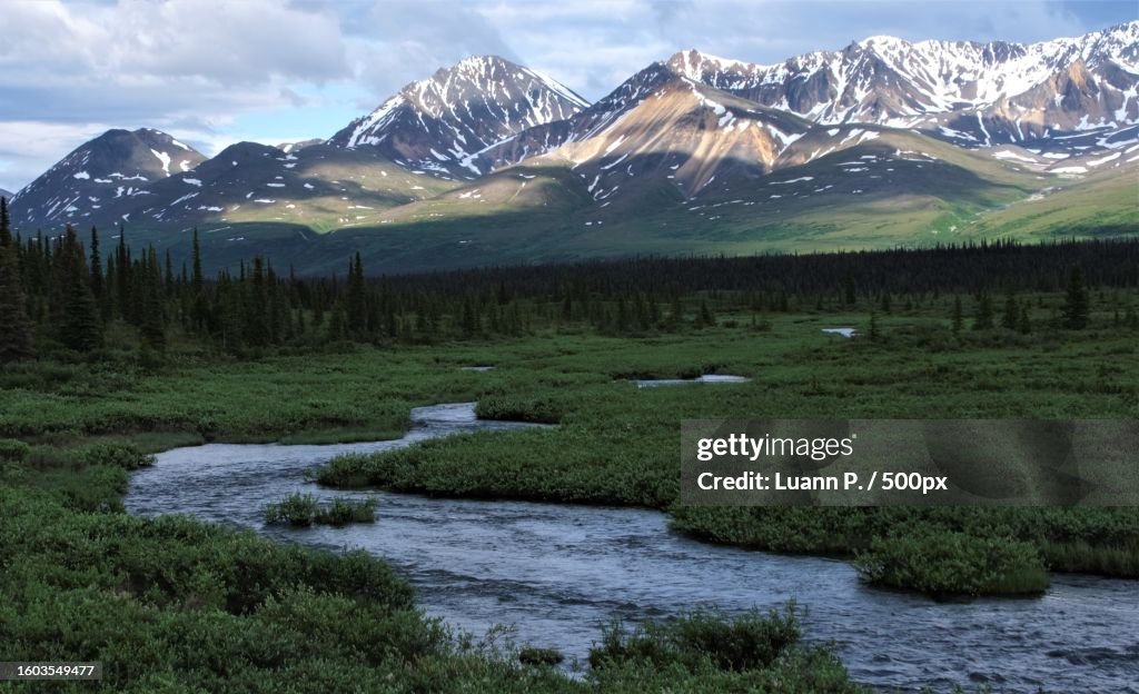 Scenic view of lake by snowcapped mountains against sky,Denali National Park,Alaska,United States,USA