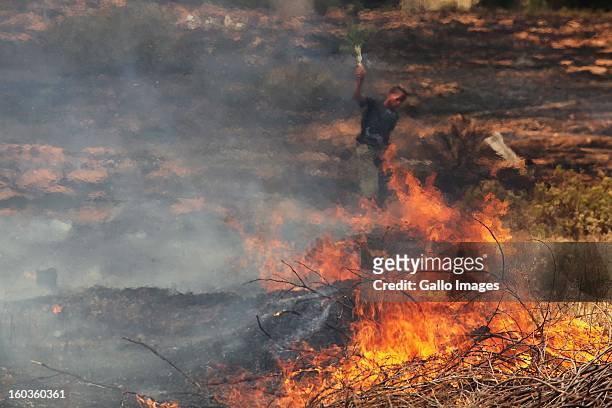 Fire smoulders at De Hoop farm on January 29 in Paarl, South Africa. No firemen were present as the veld fire swept through the entire Boland region...