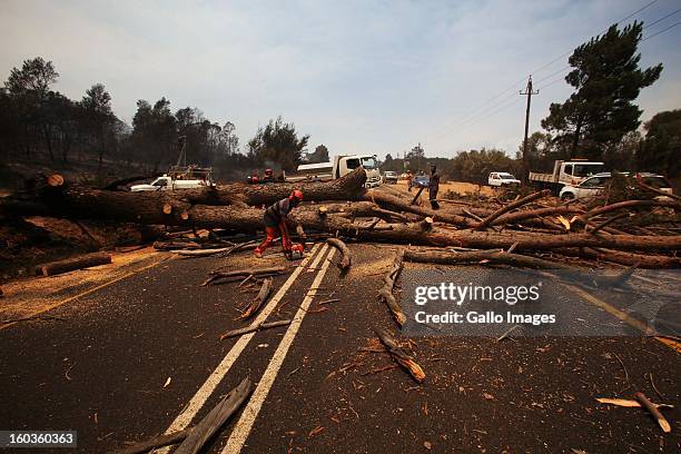 Tree fellers clear a tree that collasped onto the R301 road after it was burnt on January 29 in Paarl, South Africa. No firemen were present as the...