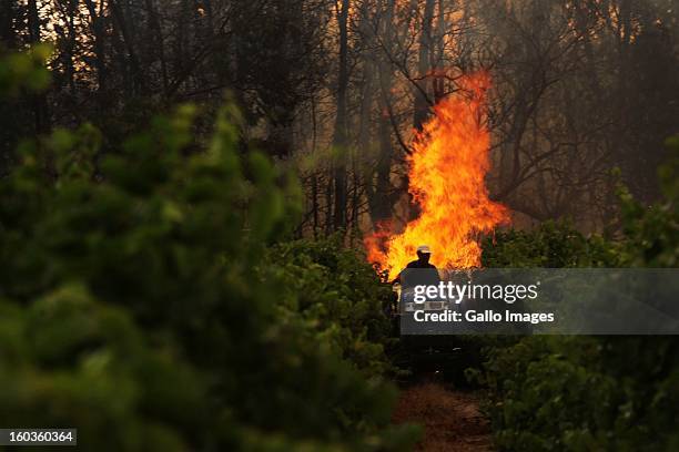 Farm worker watches from a tractor as a fire rages through De Hoop farm on January 29 in Paarl, South Africa. No firemen were present as the veld...