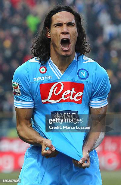 Edinson Cavani of SSC Napoli celebrates his goal during the Serie A match between Parma FC and SSC Napoli at Stadio Ennio Tardini on January 27, 2013...