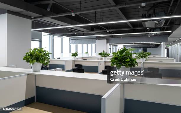 there are offices with lots of ornamental plants - formaldehyde stock pictures, royalty-free photos & images