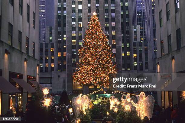 christmas season at the rockefeller center - rockefeller center christmas tree stock-fotos und bilder