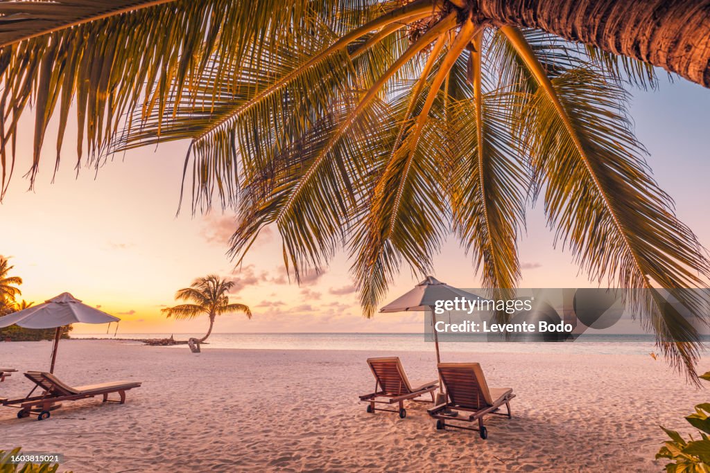 Romantic sunset beach. Romantic couple chairs umbrella. Tranquil togetherness love wellbeing, relax beautiful honeymoon landscape. Getaway tropical island coast palm leaves idyllic sea