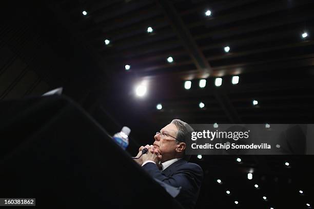 National Rifle Association Executive Vice President and Chief Executive Officer Wayne LaPierre testifies before the Senate Judiciary Committee during...