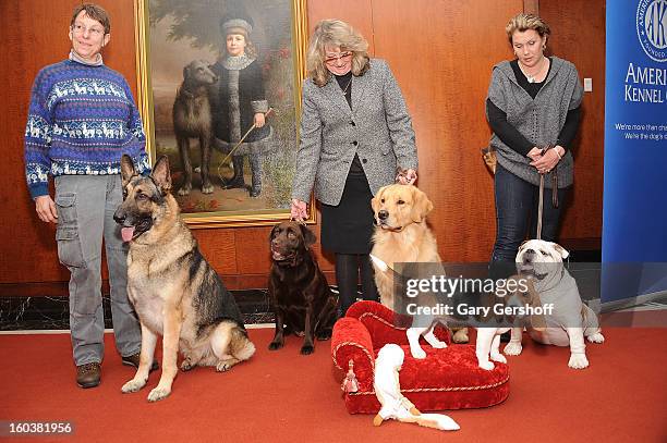 Commander, a German Shepherd, Shayna, a Labrador Retriever, Major, a Golden Retriever, Max, a Beagle and Munch, a Bulldog pose for pictures as the...