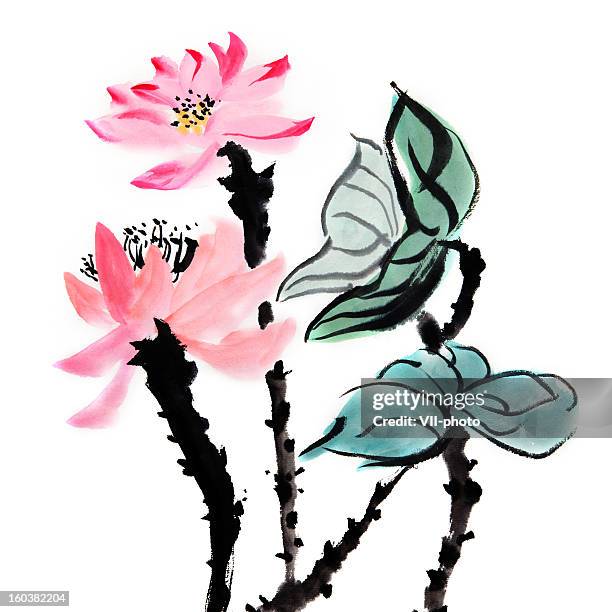 lotus flowers - lotus stock illustrations