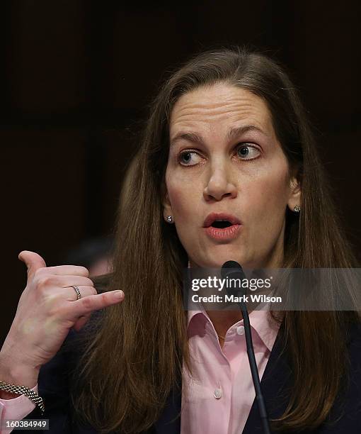 Gayle Trotter Attorney and Senior Fellow Independent Women's Forum testifies during a Senate Judiciary Committee hearing on gun violence, January 30,...