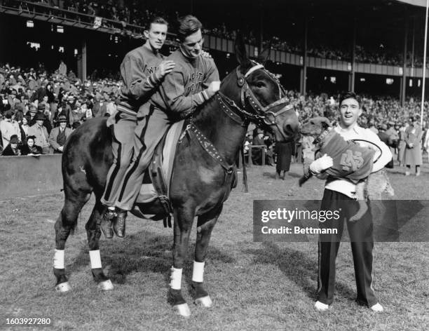 Mascots "Mr. Jackson", the army mule and "Clashmore Mike", the Irish terrier are introduced to each other by cheer leaders before the start of the...