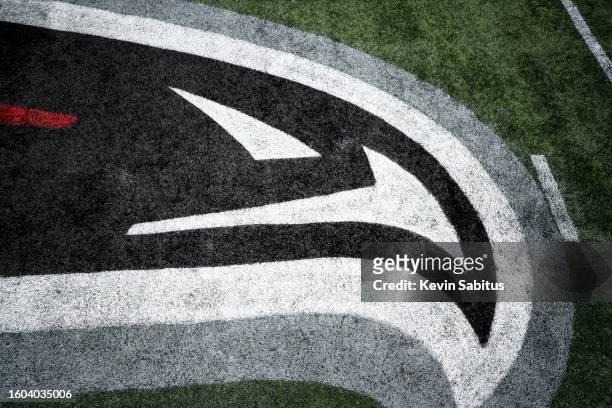Detail shot of the Atlanta Falcons logo painted on the field prior to an NFL game against the Carolina Panthers at Mercedes-Benz Stadium on October...