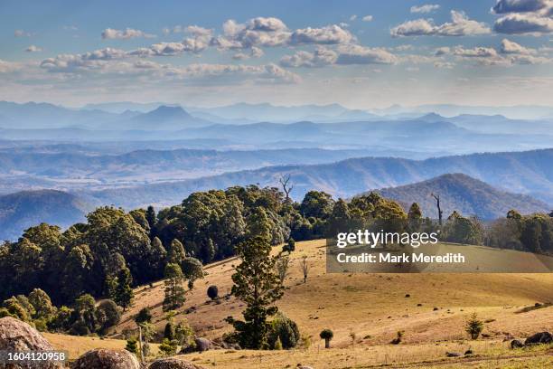 scenic rim in lamington national park - queensland rainforest stock pictures, royalty-free photos & images