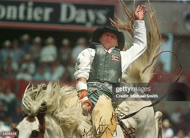 Levi Wolf hangs on during the third round of the Bareback Bronc competition at the Cheyenne Frontier Days Rodeo July 26, 2001 in Cheyenne, WY. Up to...