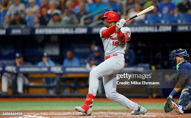 Jordan Walker of the St. Louis Cardinals hits an RBI single in the third inning during a game against the Tampa Bay Rays at Tropicana Field on August...