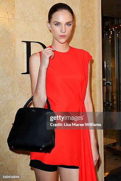 Nicole Pollard attends the opening of the Christan Dior Sydney store on January 31, 2013 in Sydney, Australia.