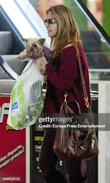 Genoveva Casanova is seen going for shopping with her pet dog on January 30, 2013 in Madrid, Spain.