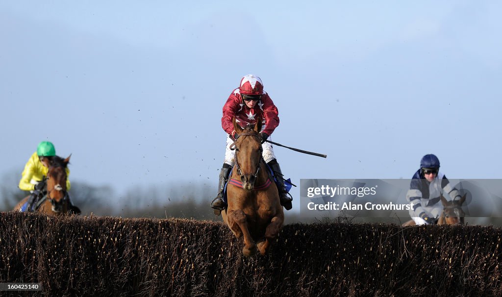 Wincanton Races