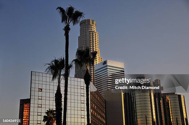 downtown los angeles at sunset - low angle view of silhouette palm trees against sky stock-fotos und bilder