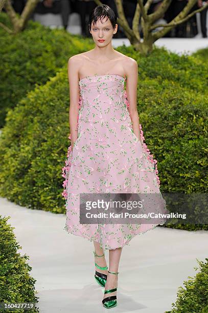 Model walks the runway at the Christian Dior Spring Summer 2013 fashion show during Paris Haute Couture Fashion Week on January 21, 2013 in Paris,...