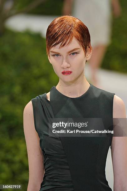 Model walks the runway at the Christian Dior Spring Summer 2013 fashion show during Paris Haute Couture Fashion Week on January 21, 2013 in Paris,...