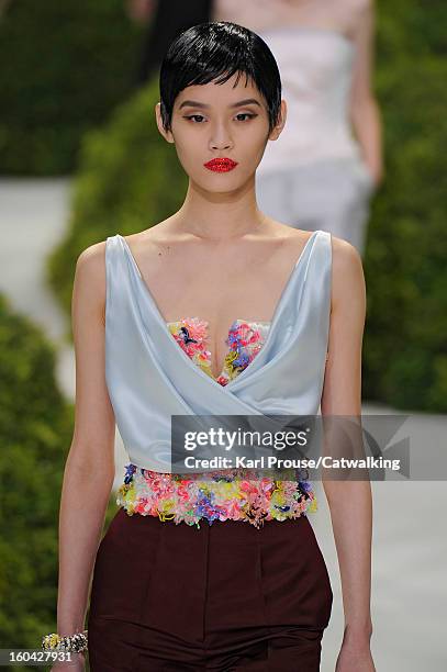 Model walks the runway at the Christian Dior Spring Summer 2013 fashion show during Paris Haute Couture Fashion Week on January 21, 2013 in Paris,...