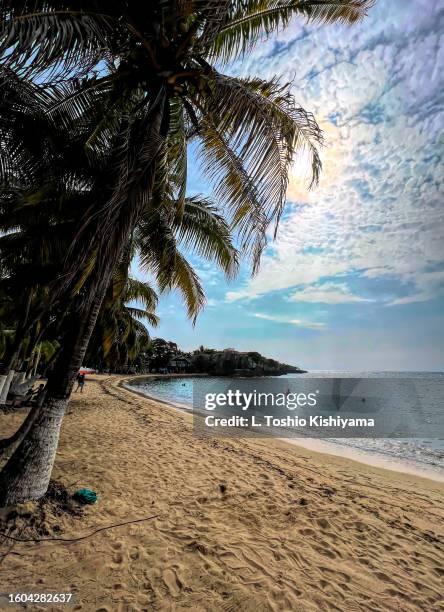 beach and caribbean sea - roatan stock pictures, royalty-free photos & images