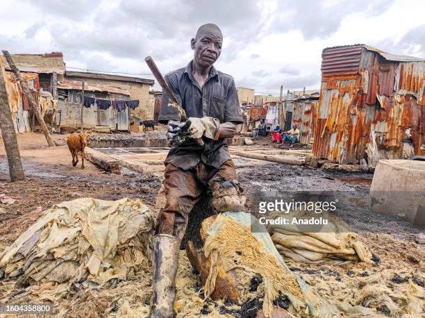 Tannery worker processes leather using traditional methods at a tannery workshop in Kano, Nigeria on August 13, 2023. Leather processed at tanneries...