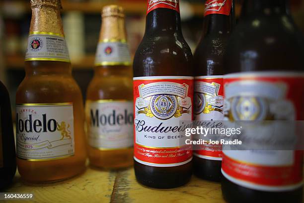 Bottles of Anheuser-Busch Budweiser and Grupo Modelo, Modelo beers are displayed at the Chandi Wine and spirits store on January 31, 2013 in Miami,...