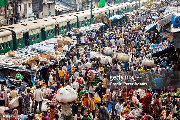 train & flower market, kolkata, india - india foto e immagini stock