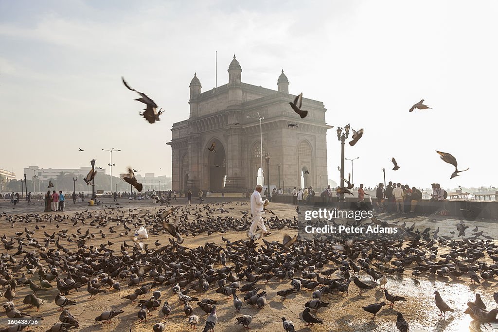 Pigeons, India Gate, Colaba, Mumbai, India