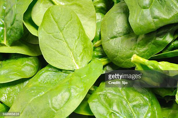 spinach - close to stock pictures, royalty-free photos & images
