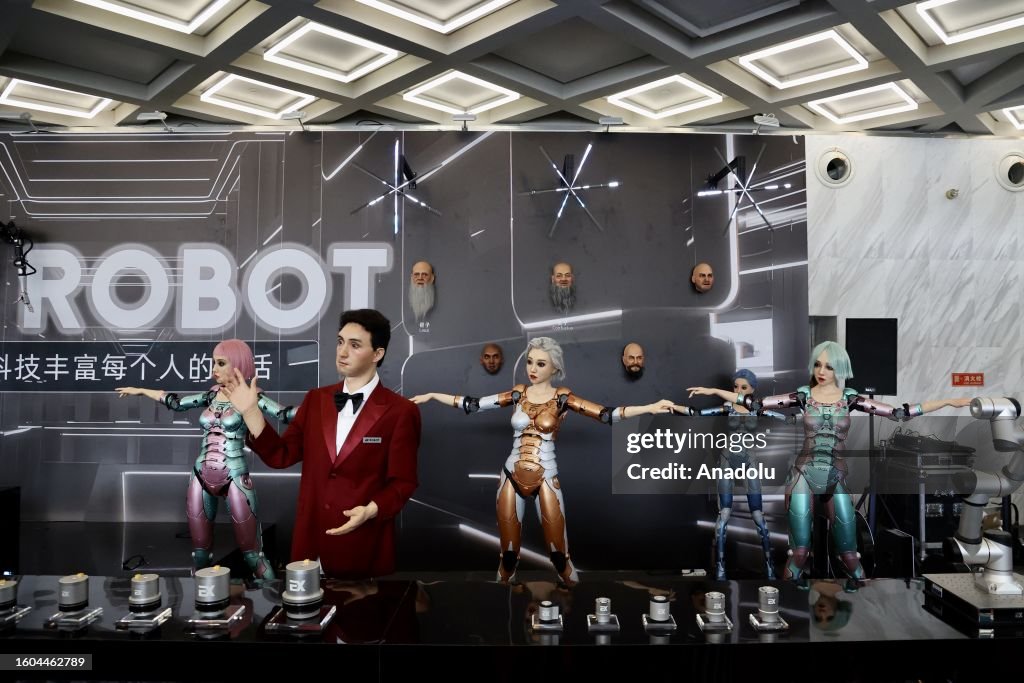 The 8th World Robot Conference 2023 in China