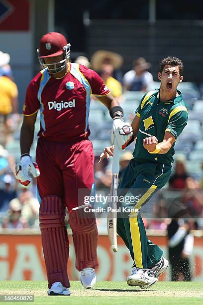 Mitchell Starc of Australia celebrates the wicket of Kieron Pollard of the West Indies during game one of the Commonwealth Bank One Day International...