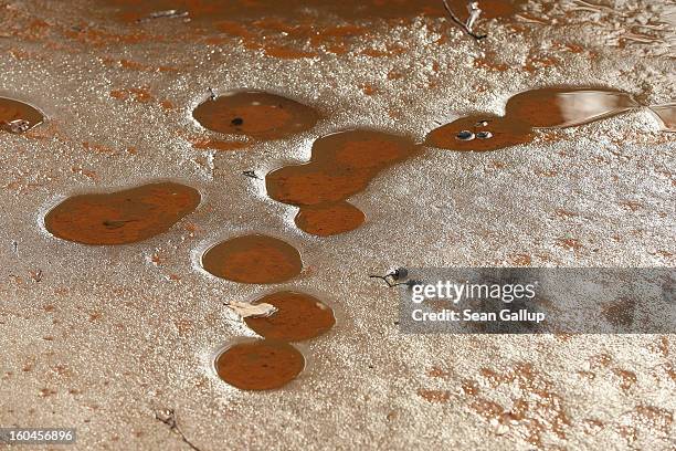 Iron-rich sludge lies on top of thawing ice in the ponds that are fed by a nearby creek next to Schloss Vetschau palace on January 31, 2013 in...