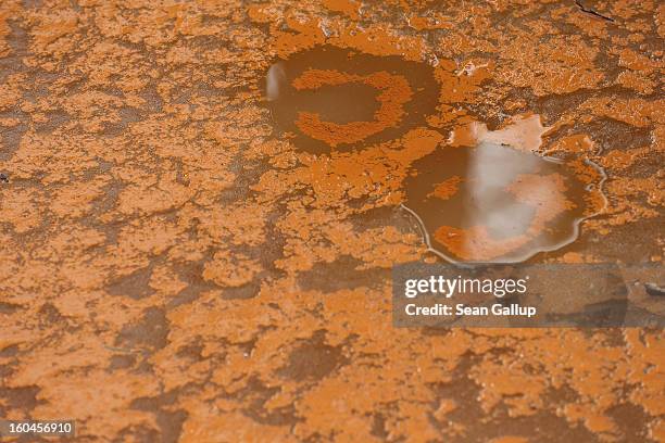 Iron-rich sludge lies on top of thawing ice in the ponds that are fed by a nearby creek next to Schloss Vetschau palace on January 31, 2013 in...