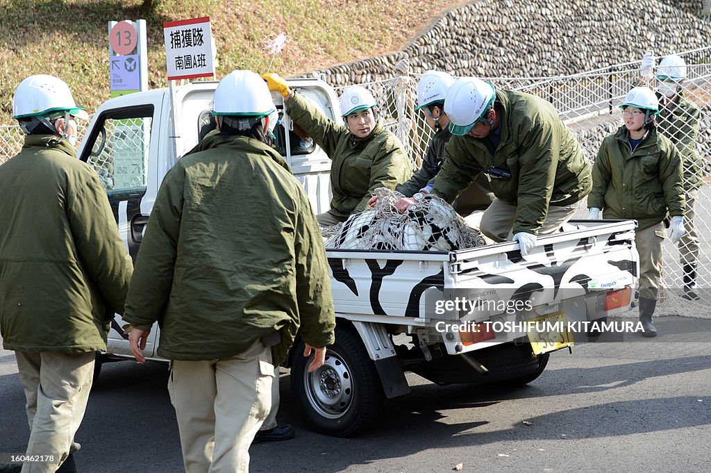 JAPAN-ANIMAL-ZOO-DRILL