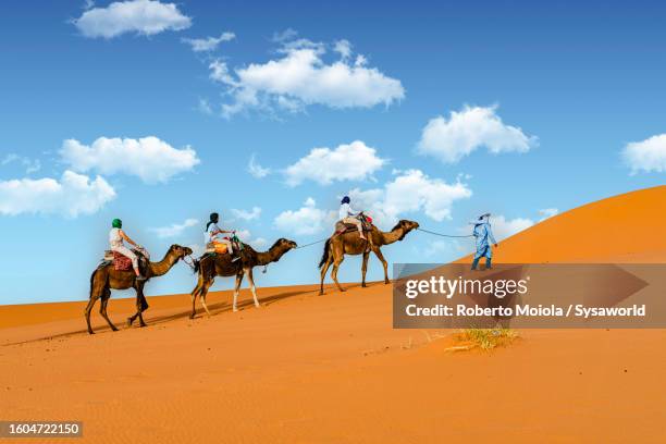 mother and sons exploring the desert riding camels - chameau photos et images de collection
