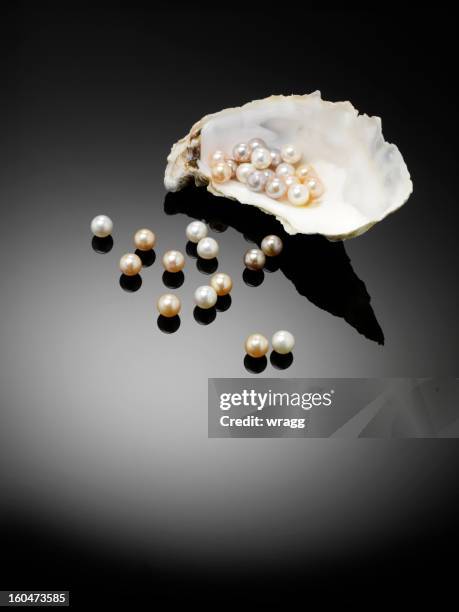 all organic pearls and oyster - pearl stock pictures, royalty-free photos & images