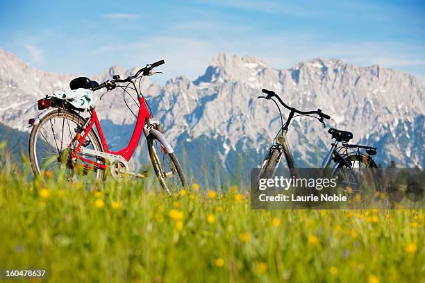 bikes in meadow in front of karwendel mountains - bike flowers stock-fotos und bilder