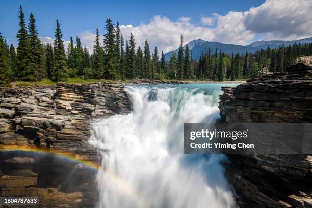 athabasca falls - canadian rockies stock pictures, royalty-free photos & images