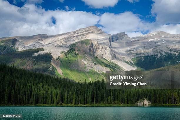 maligne lake of jasper national park - jasper-national-park stockfoto's en -beelden