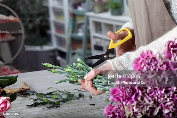 florist cutting flower with pruning shears - composition stock pictures, royalty-free photos & images