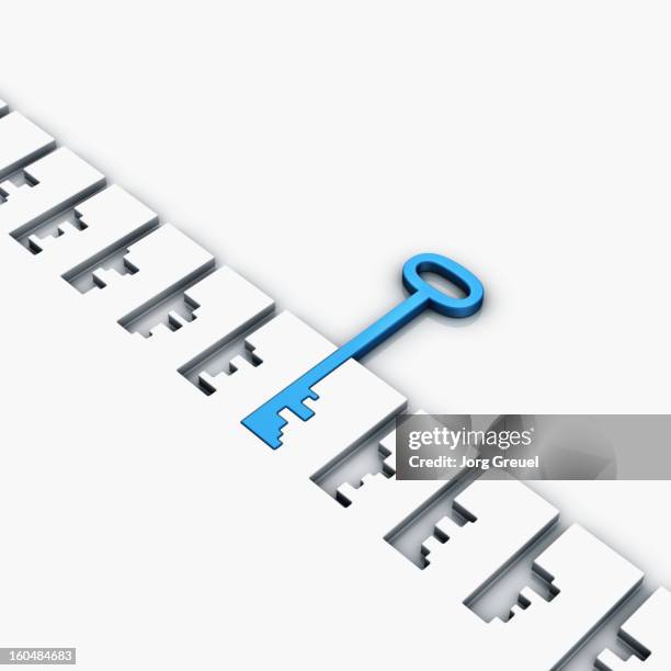 Blue Lock White Background High Res Illustrations - Getty Images