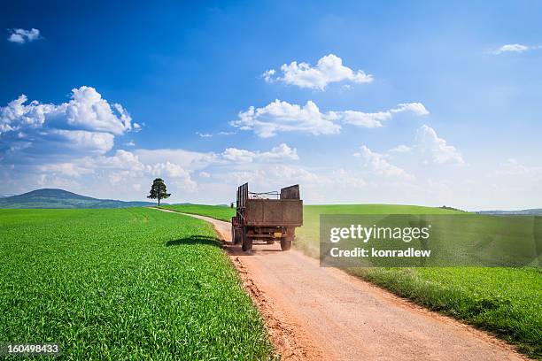 spring landscape - country road and green fields - contry road stock pictures, royalty-free photos & images