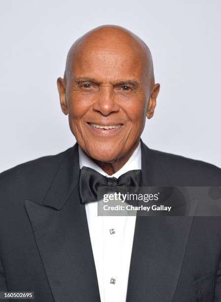 Spingarn Medal honoree Harry Belafonte poses for a portrait during the 44th NAACP Image Awards at The Shrine Auditorium on February 1, 2013 in Los...