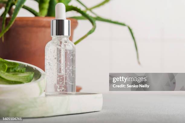 aloe vera essential oil. aloe vera plant with fresh drops and dropper glass bottle. collagen serum package mockup. beauty cosmetics product ads poster template. - aloe vera imagens e fotografias de stock