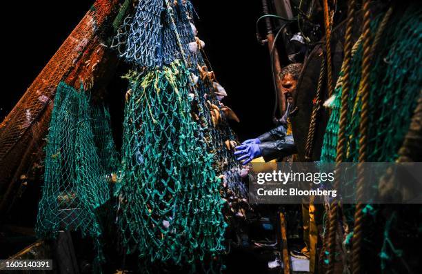 Fisherman hauls in a net full of fish aboard fishing boat 'About Time' while trawling in the English Channel from the Port of Newhaven, on Wednesday,...