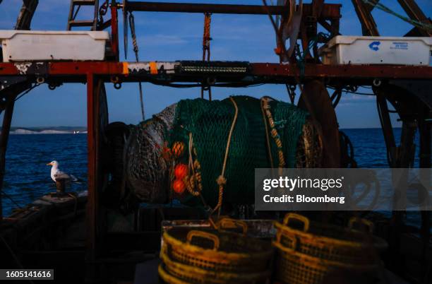 Seagull on the stern of the boat 'About Time' in the English Channel near the Port of Newhaven in Newhaven UK, on Wednesday, Aug.16, 2023. The UK...